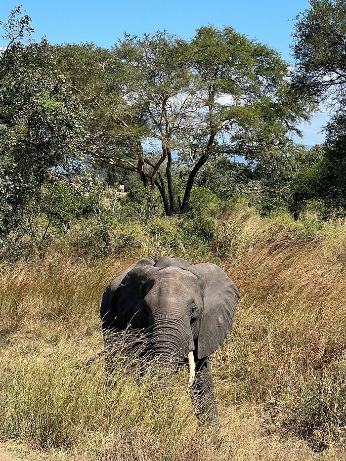 From Dar es Salaam: 2 - Days Mikumi National Park Private Safari