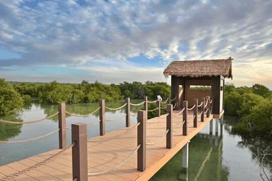 From Doha: Al Khor, Al Thakhira Mangroves, and Al Zubara Fort Day Trip