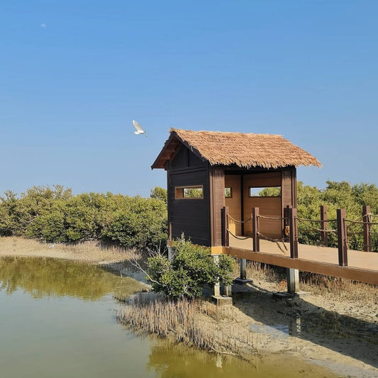 From Doha: North Qatar Guided Tour with Transfers