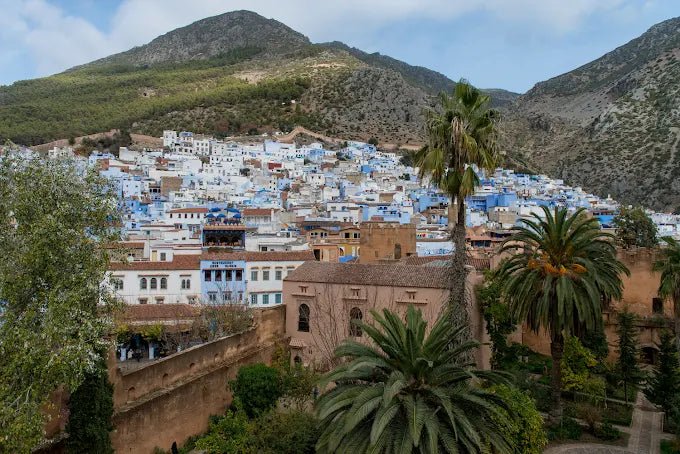 From Fez: Day Trip to Chefchaouen, the Blue City, with Scenic Stops