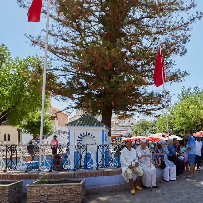 From Fez: Day Trip to Chefchaouen, the Blue City, with Scenic Stops