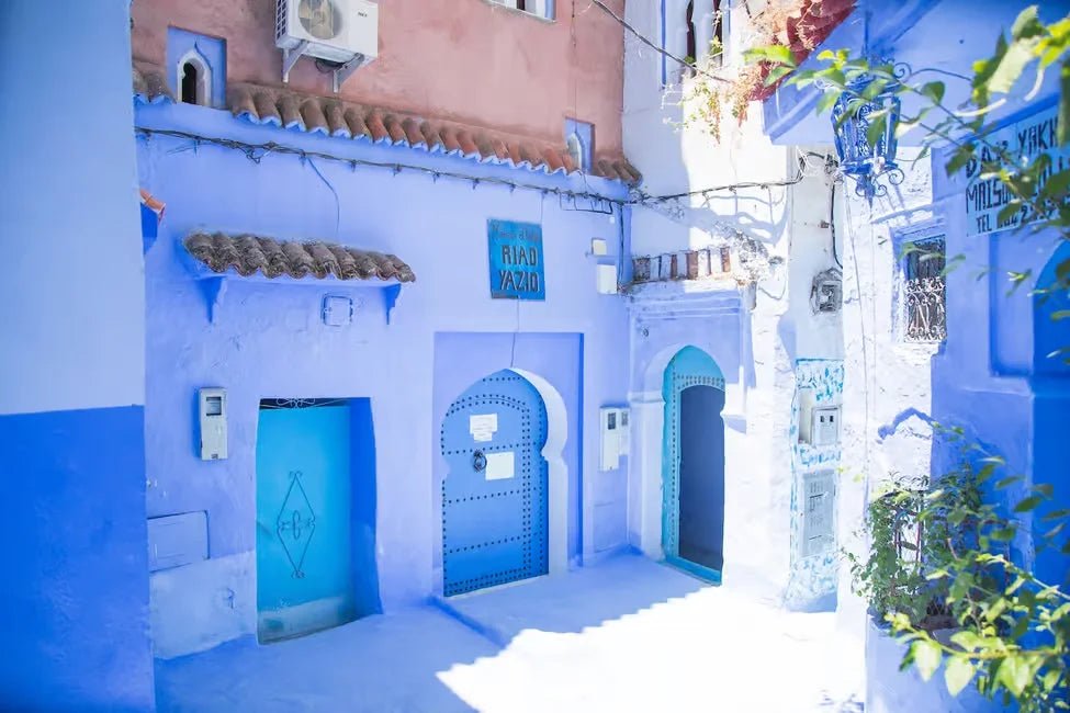 From Fez: Day Trip to Chefchaouen, the Blue City, with Scenic Stops