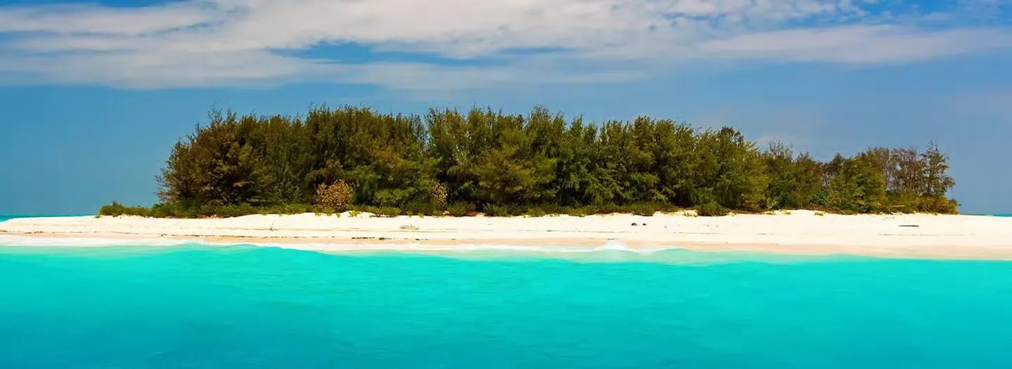 From Kendwa or Nungwi: Mnemba Island Dolphin and Snorkeling Tour in Zanzibar