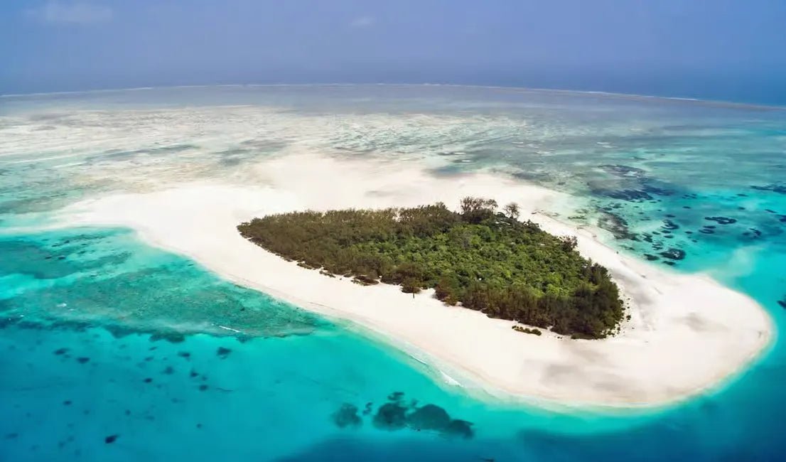 From Kendwa or Nungwi: Mnemba Island Dolphin and Snorkeling Tour in Zanzibar