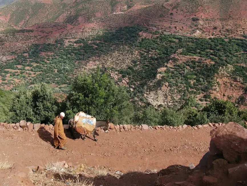 From Marrakech: 2 - Days Mount Toubkal Trek with Guide and Refuge Stay