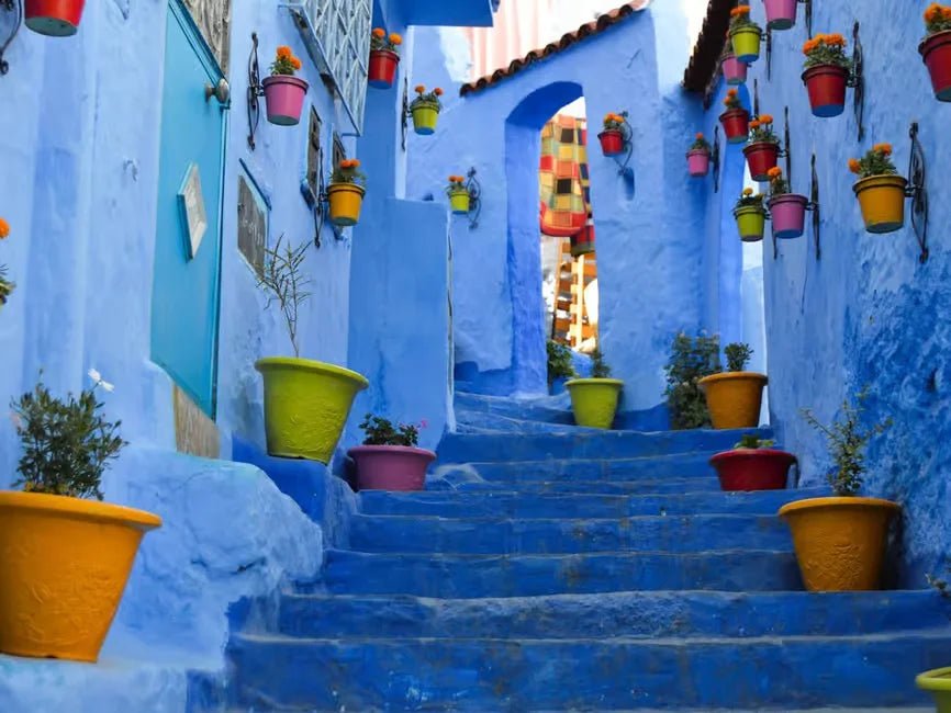 From Marrakech: 3 - Day Imperial Cities and Chefchaouen Tour with Guide