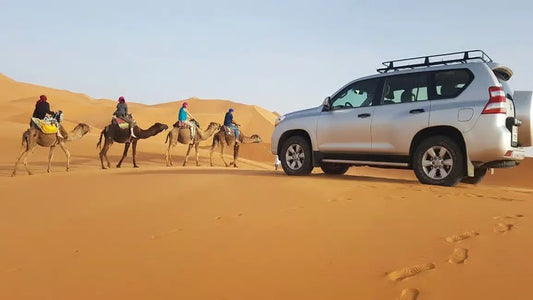 From Marrakech: 3 - Days Desert Adventure to Erg Chegaga Dunes