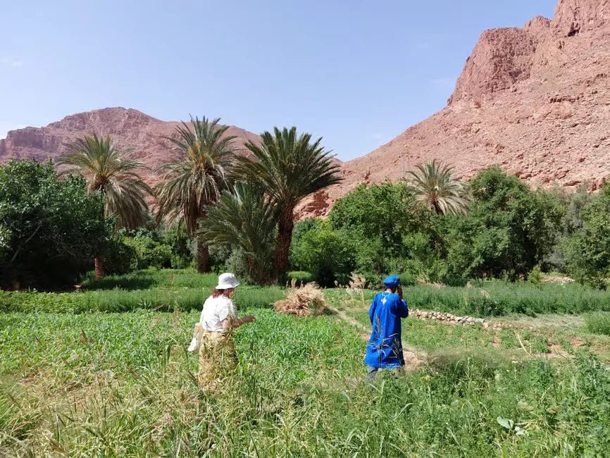 From Marrakech: 3 - Days Sahara Desert Tour with Camel Ride and Desert Camp Stay