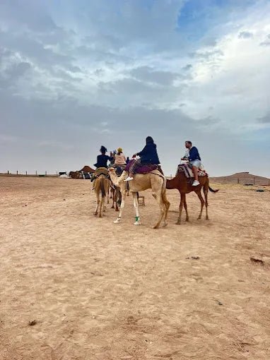 From Marrakech: Agafay Desert Camel Ride, Swimming, and Lunch