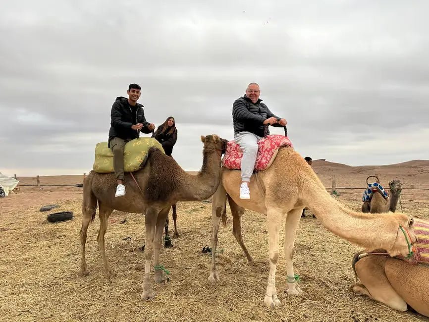 From Marrakech: Agafay Desert Quad Bike and Camel Ride Tour with Tea and Hotel Transfers