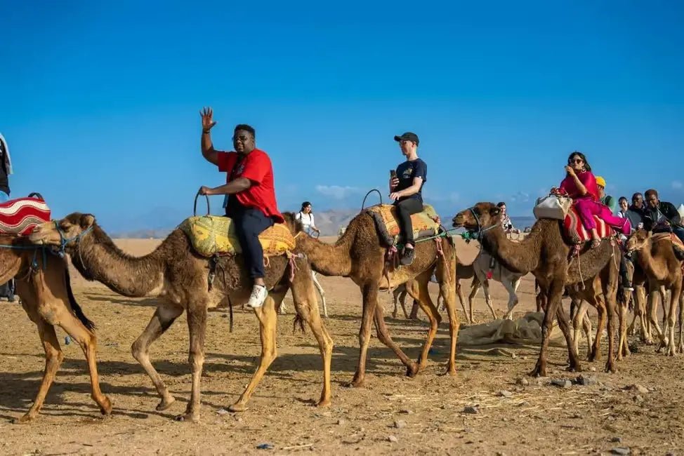 From Marrakech: Agafay Desert Quad Bike and Camel Ride Tour with Tea and Hotel Transfers