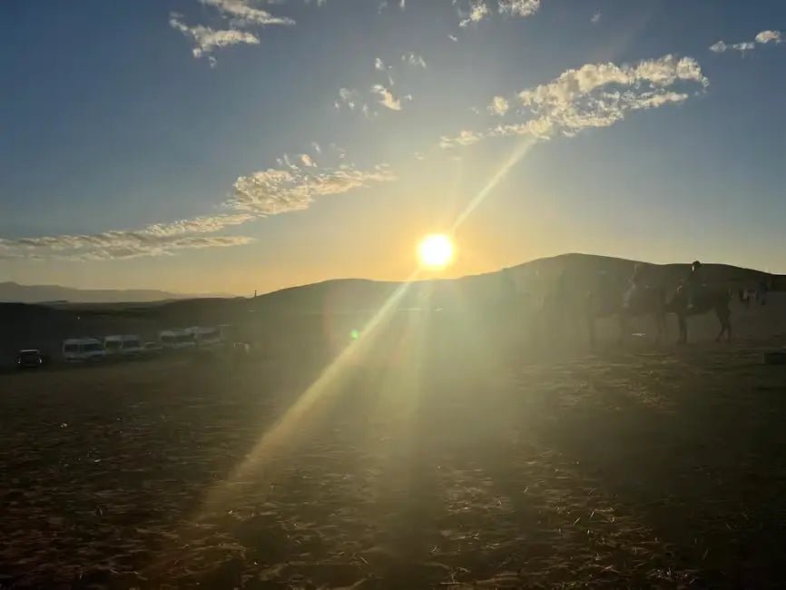 From Marrakech: Agafay Desert Sunset Camel Ride, Dinner and Fire Show