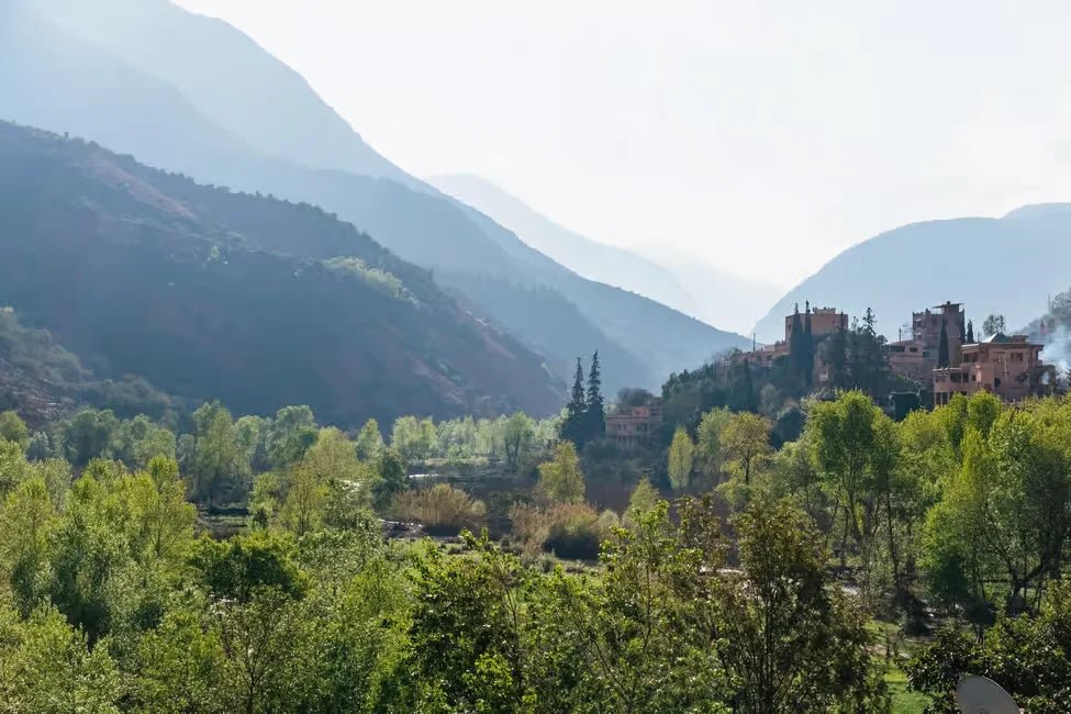 From Marrakech: Atlas Mountains Day Tour with Traditional Berber Lunch