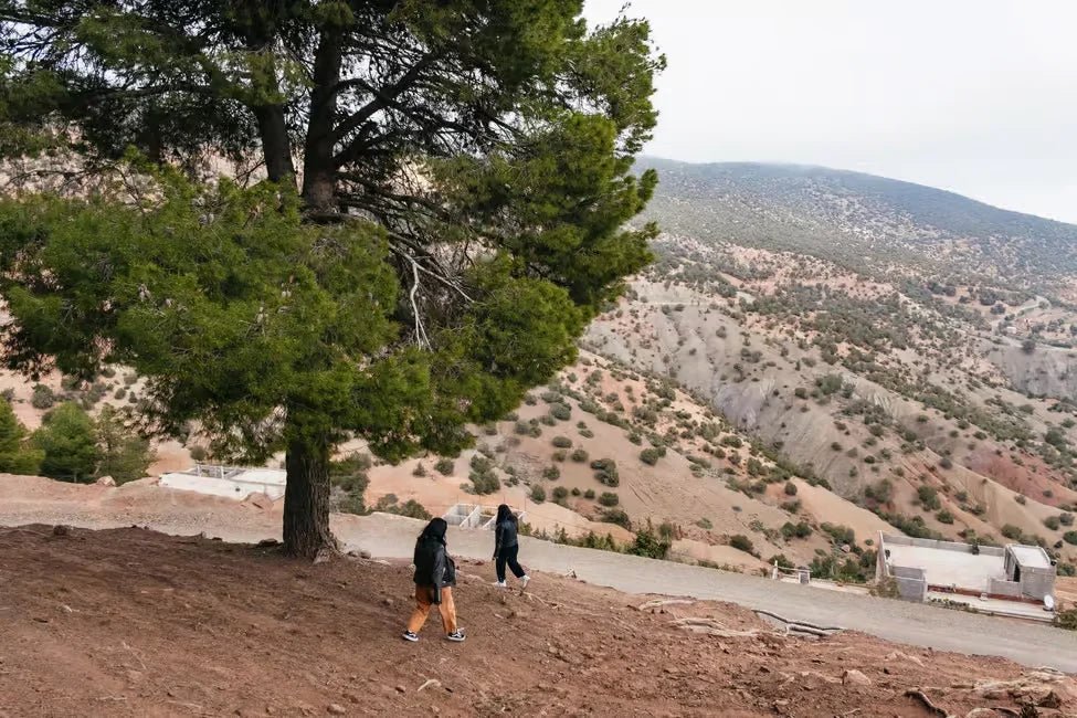From Marrakech: Atlas Mountains Day Tour with Traditional Berber Lunch