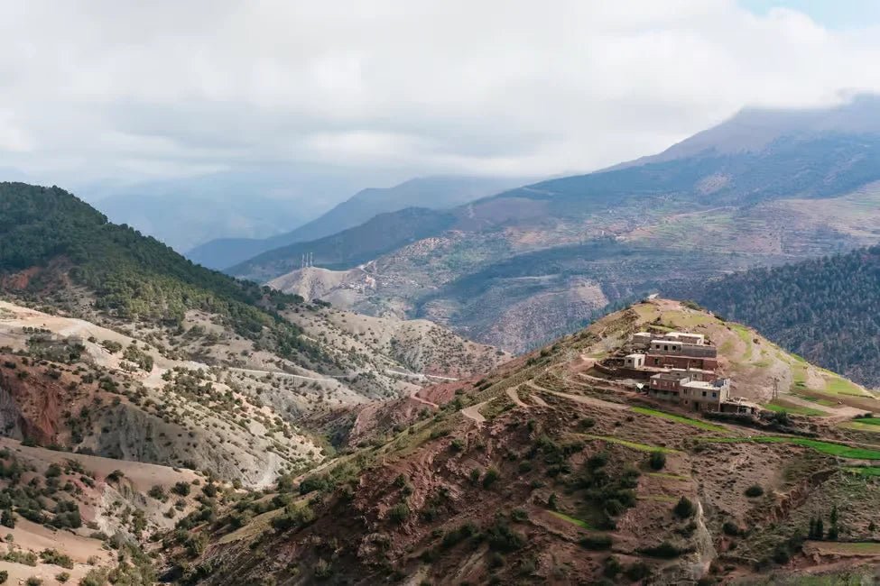 From Marrakech: Atlas Mountains Day Tour with Traditional Berber Lunch