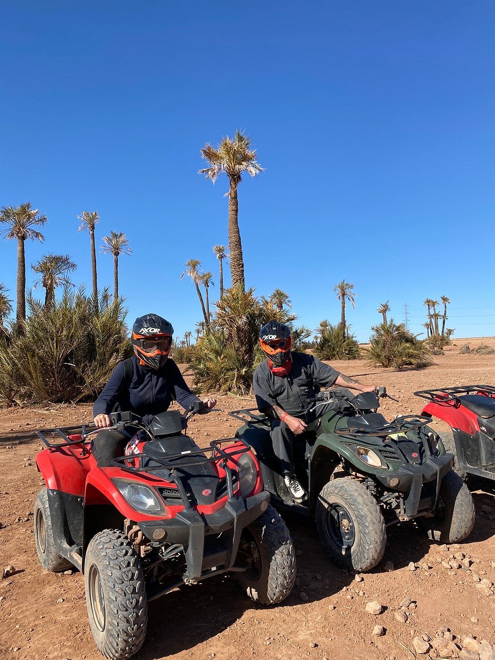 From Marrakech: Camel Ride and Quad Bike Experience in Palmeraie