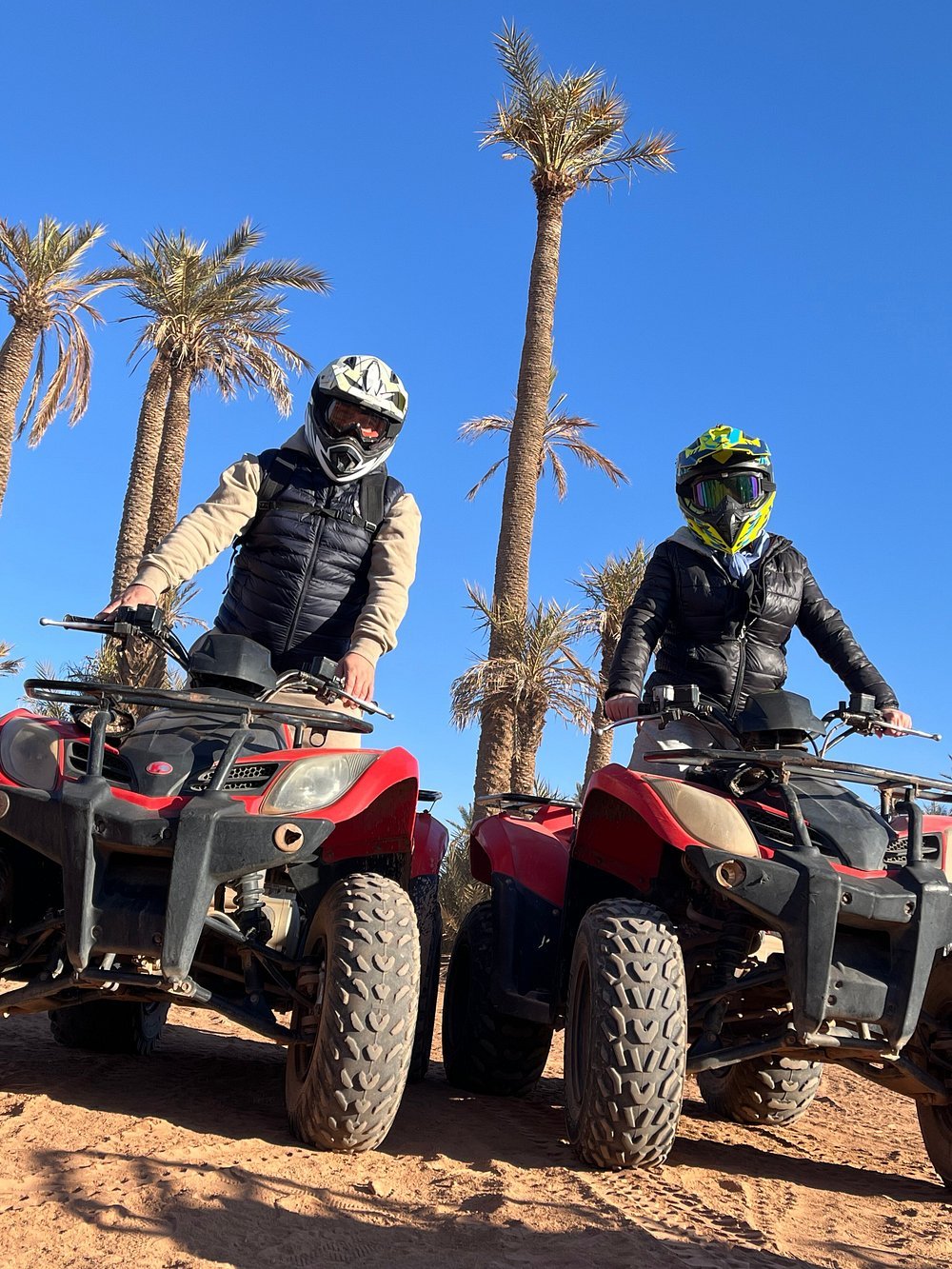 From Marrakech: Camel Ride and Quad Bike Experience in Palmeraie