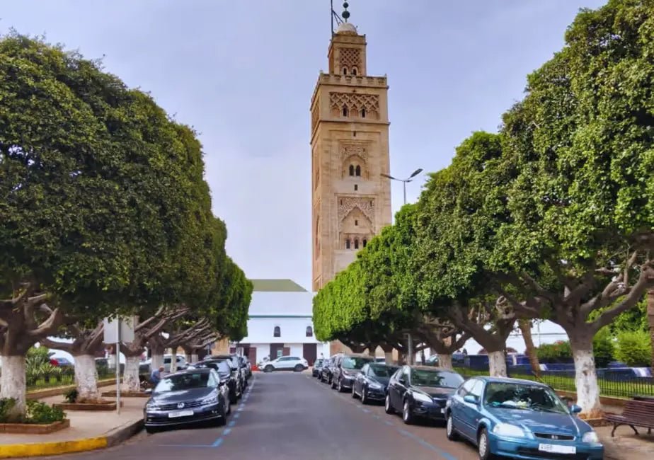From Marrakech: Casablanca Day Trip with Hassan II Mosque Visit