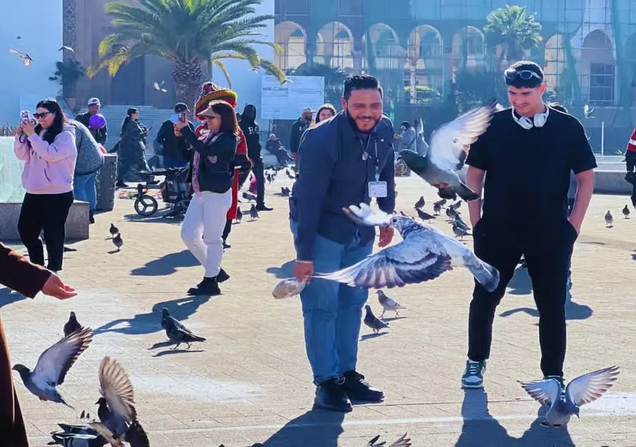 From Marrakech: Casablanca Day Trip with Hassan II Mosque Visit
