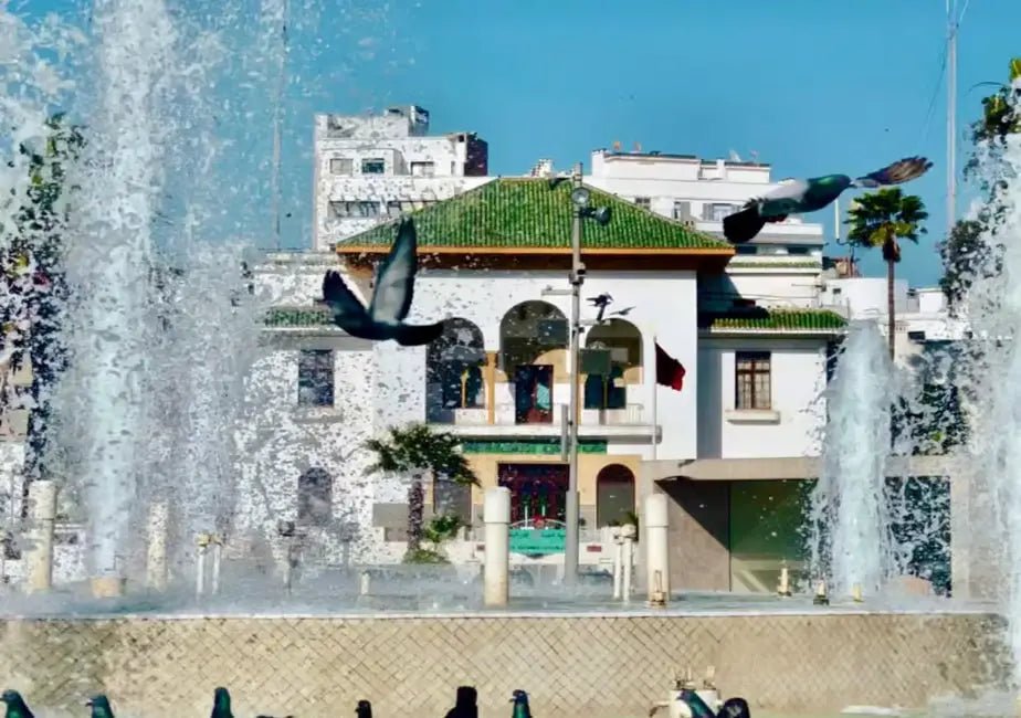 From Marrakech: Casablanca Day Trip with Hassan II Mosque Visit