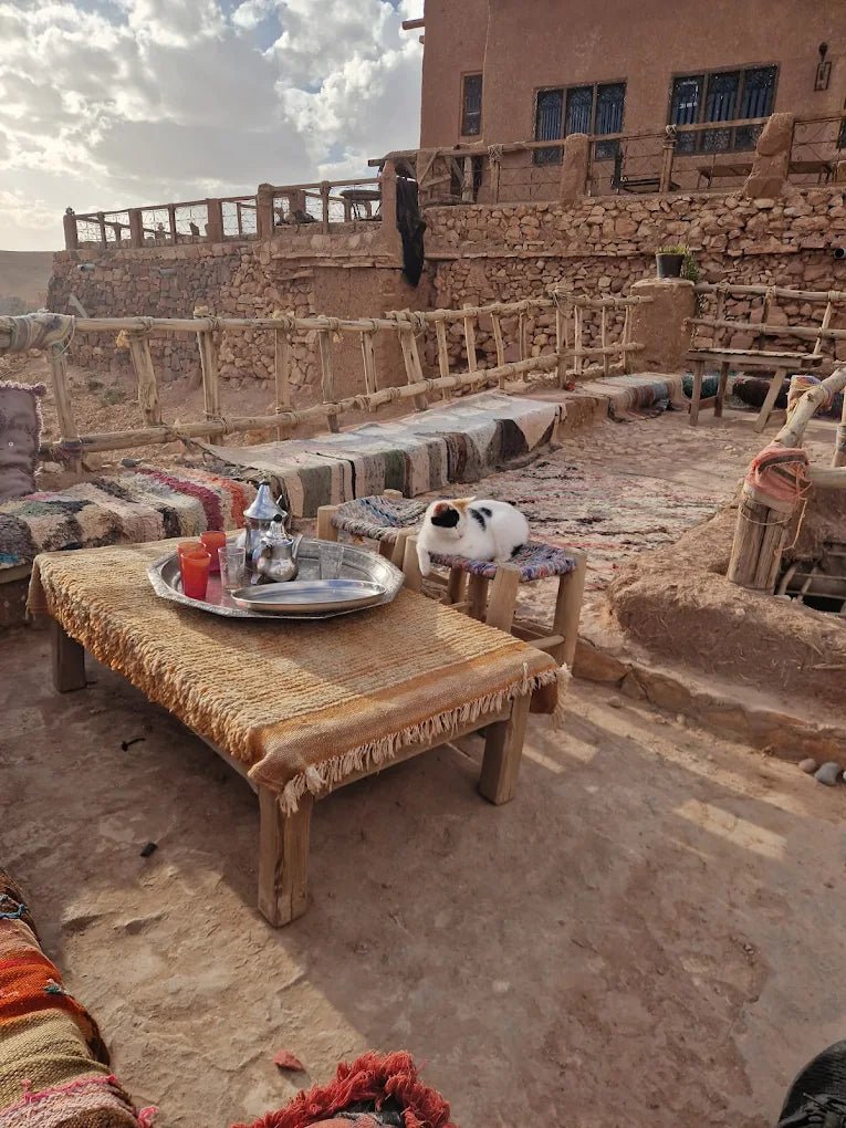 From Marrakech: Day Trip to Ouarzazate and Ait Benhaddou
