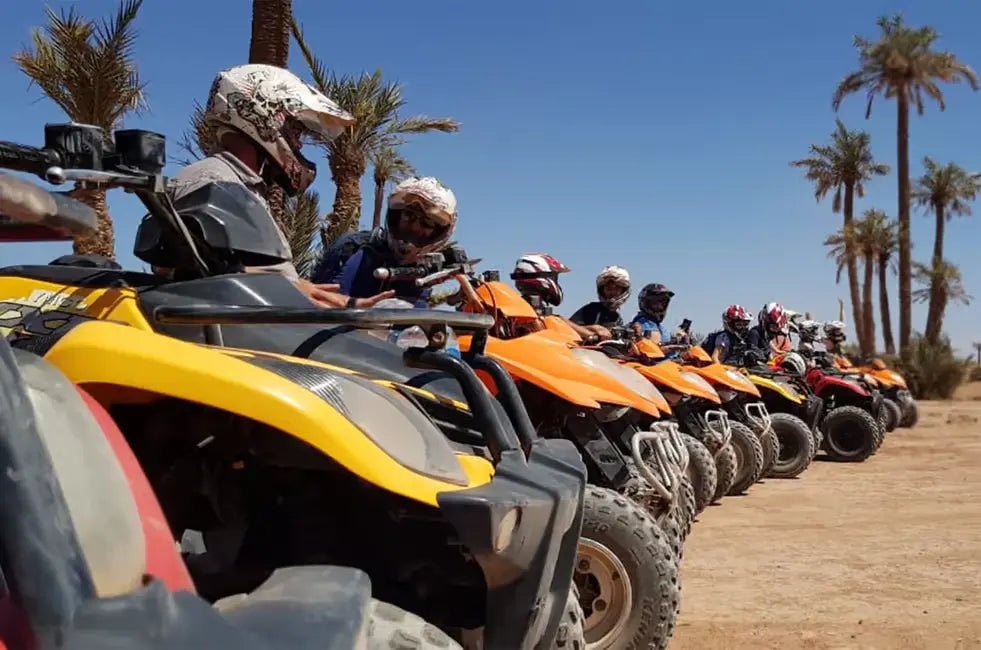 From Marrakech: Desert and Palm Grove Quad Bike Tour with Hotel Pickup