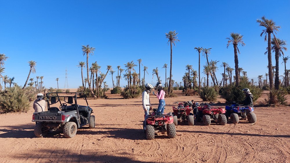 From Marrakech: Desert and Palm Grove Quad Bike Tour with Hotel Pickup