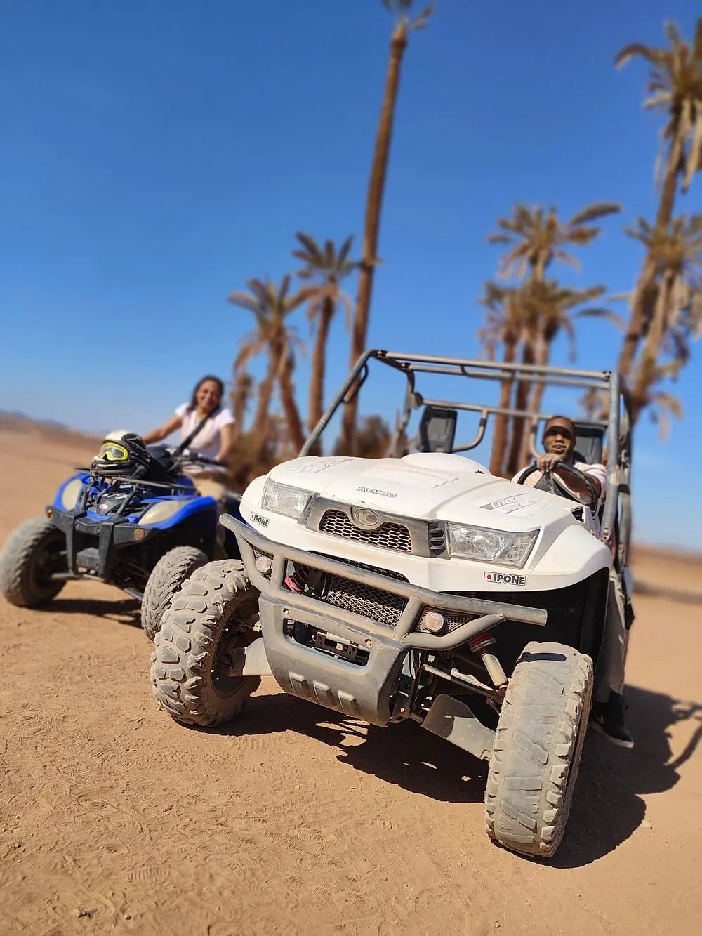 From Marrakech: Desert and Palm Grove Quad Bike Tour with Hotel Pickup