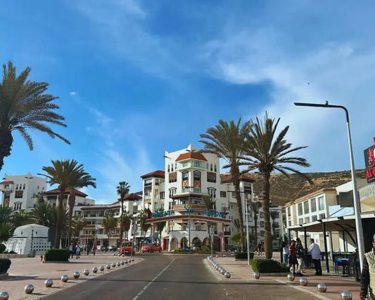 From Marrakech: Full - Day Trip to Agadir with Crocoparc and Beach Visit