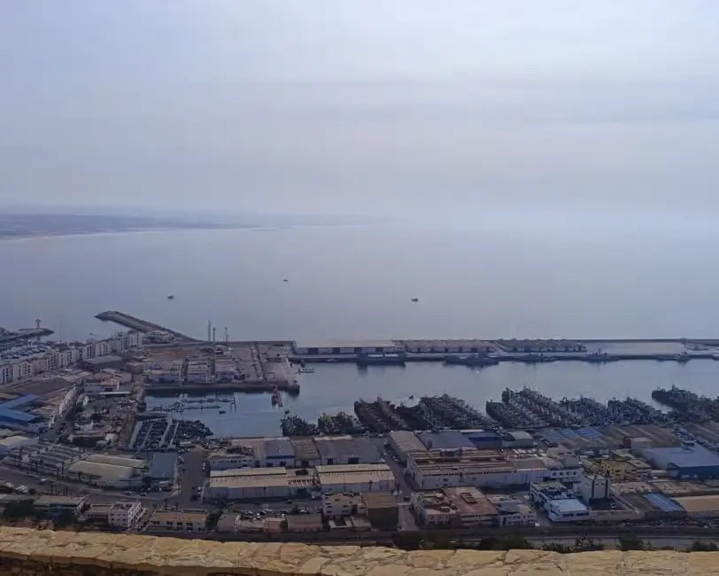 From Marrakech: Full - Day Trip to Agadir with Crocoparc and Beach Visit
