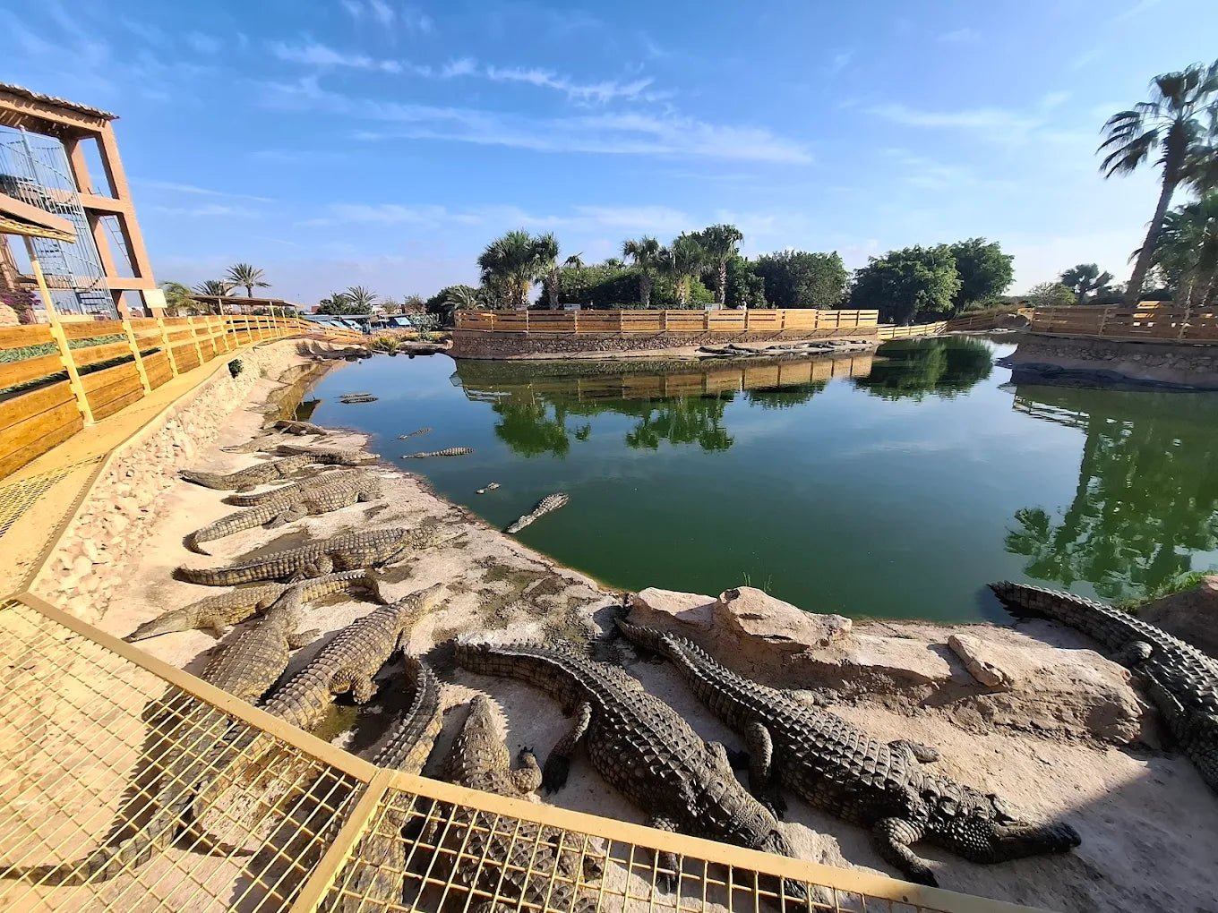 From Marrakech: Full - Day Trip to Agadir with Crocoparc and Beach Visit