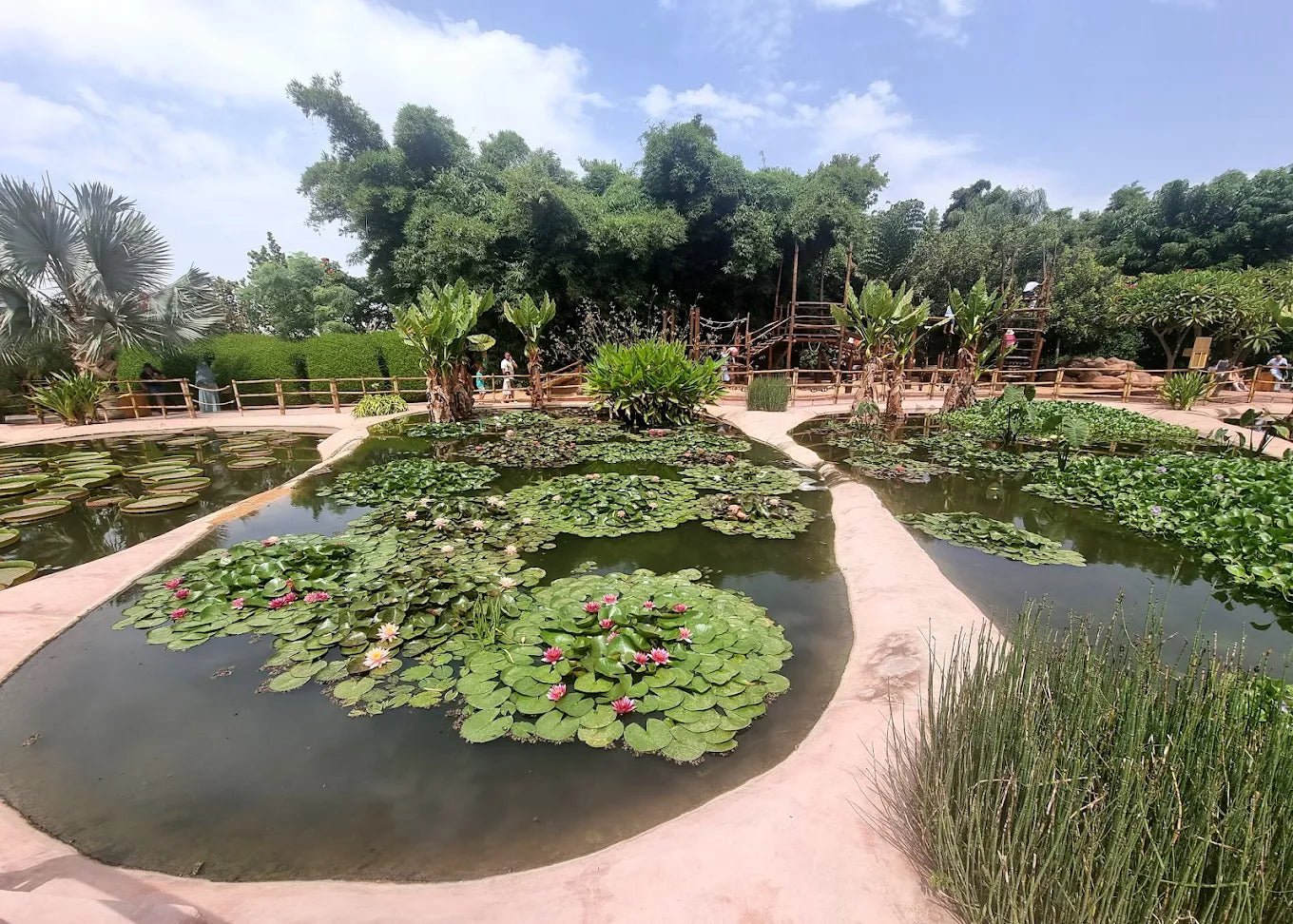 From Marrakech: Full - Day Trip to Agadir with Crocoparc and Beach Visit