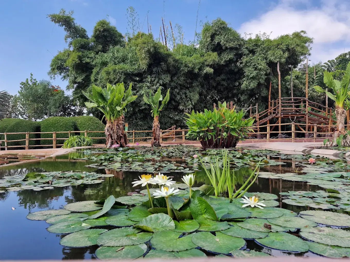 From Marrakech: Full - Day Trip to Agadir with Crocoparc and Beach Visit