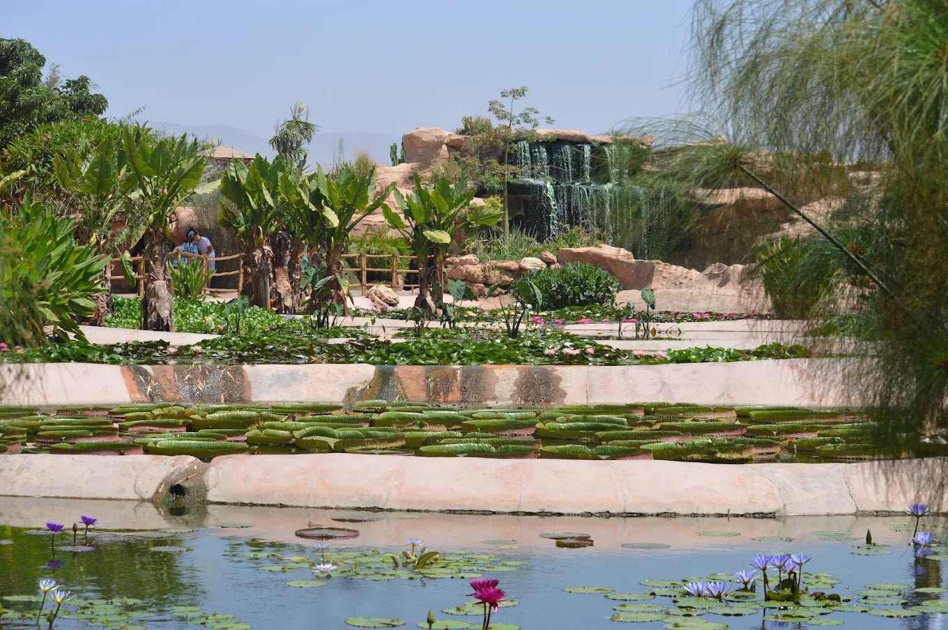 From Marrakech: Full - Day Trip to Agadir with Crocoparc and Beach Visit