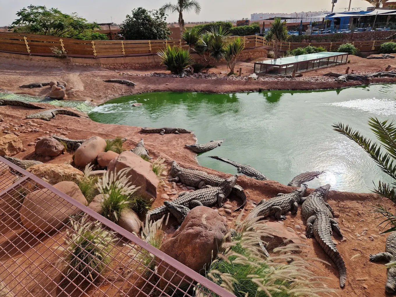 From Marrakech: Full - Day Trip to Agadir with Crocoparc and Beach Visit