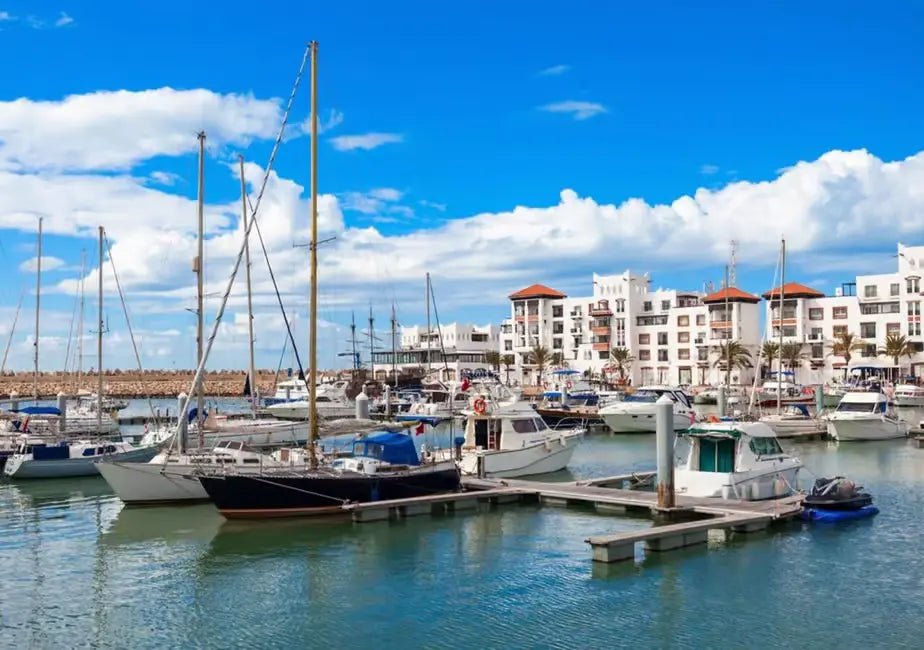 From Marrakech: Full - Day Trip to Agadir with Crocoparc and Beach Visit