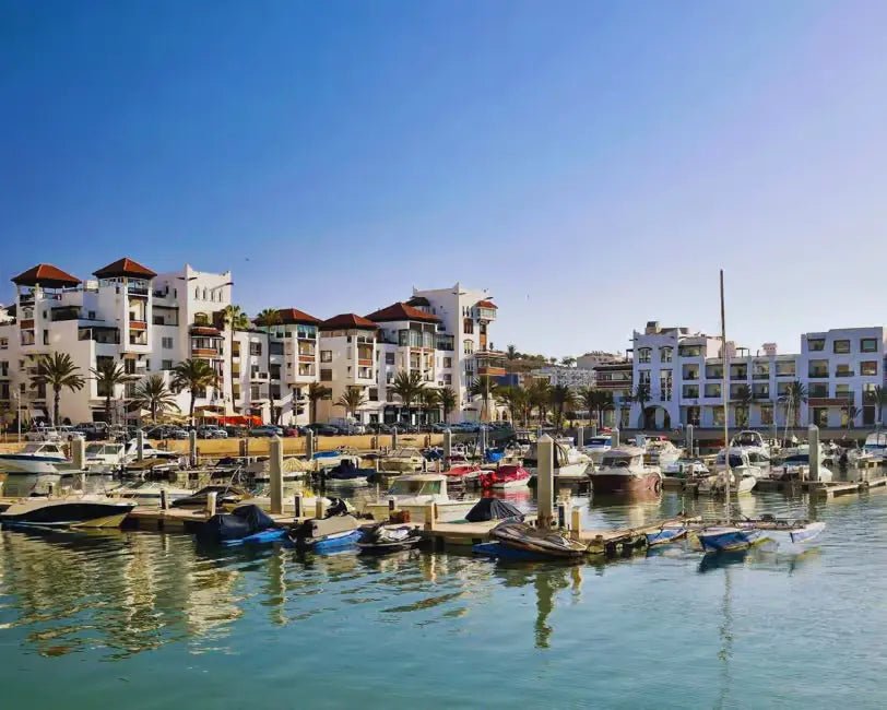 From Marrakech: Full - Day Trip to Agadir with Crocoparc and Beach Visit
