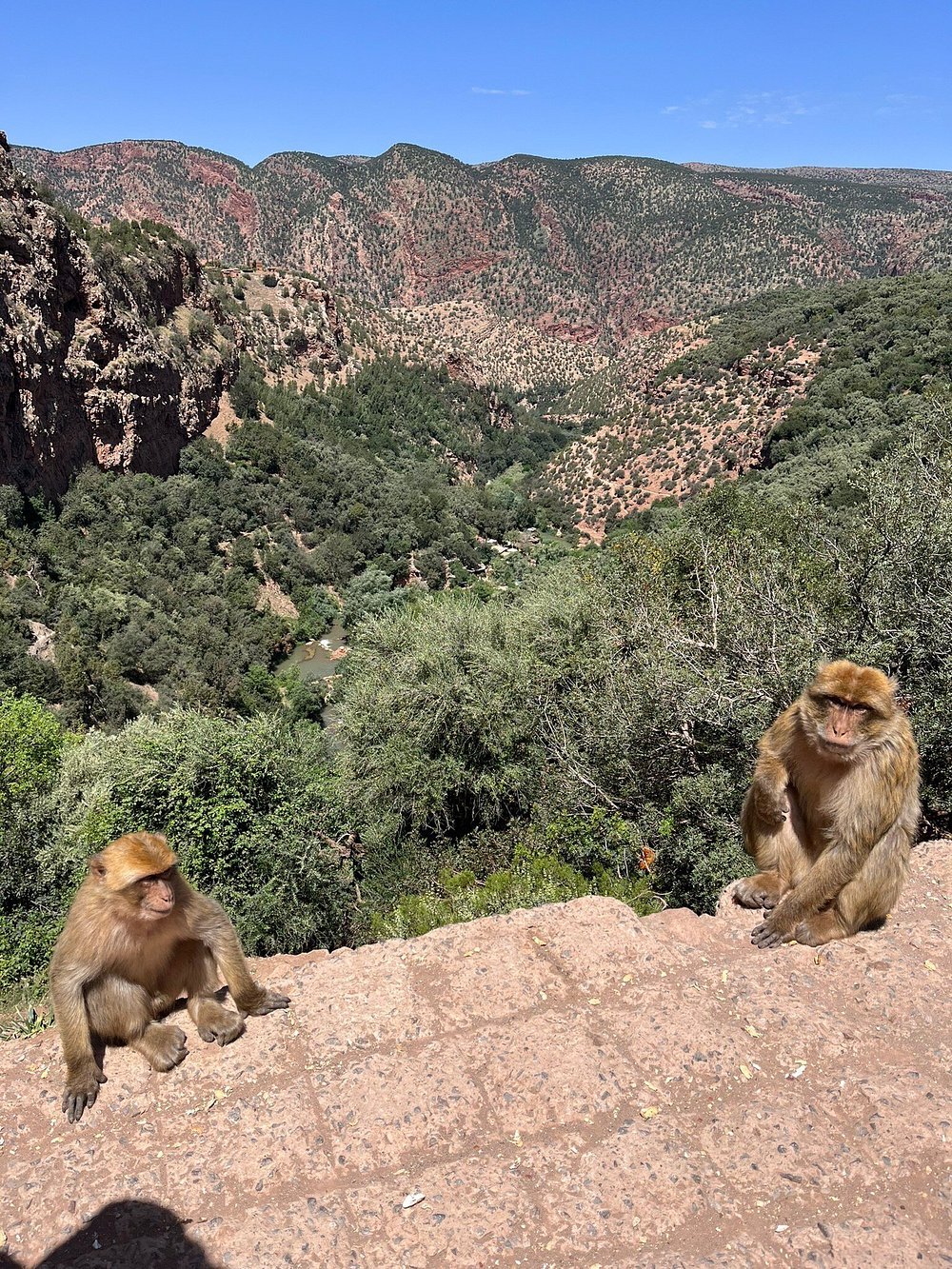 From Marrakech: Full‑Day Ouzoud Waterfalls Tour with Boat Trip