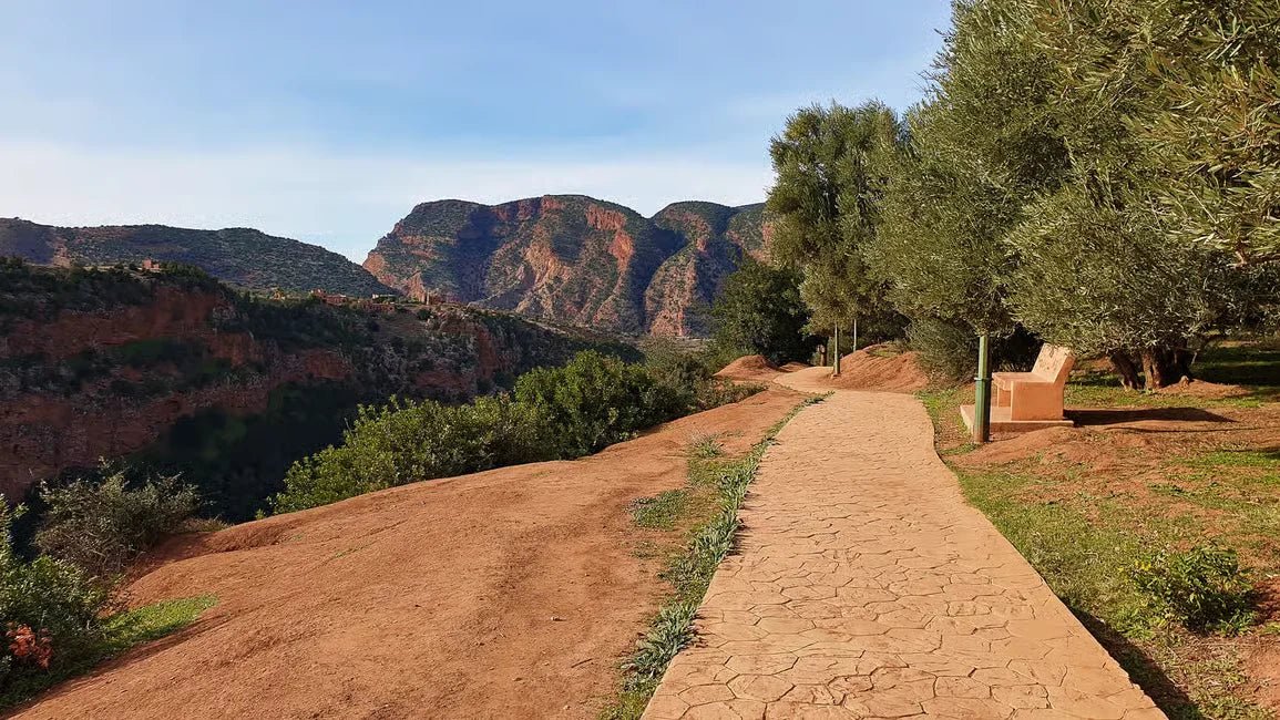 From Marrakech: Full‑Day Ouzoud Waterfalls Tour with Boat Trip