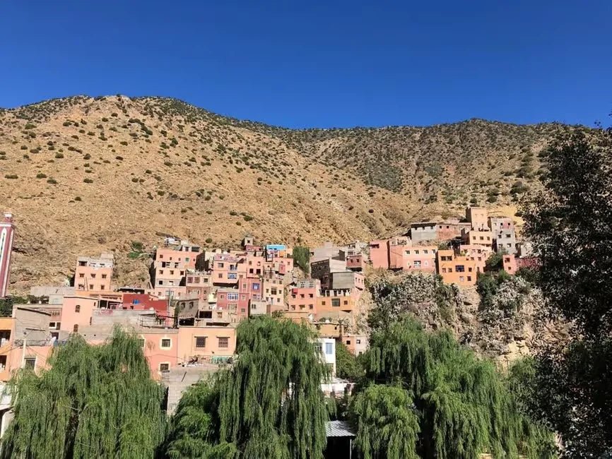 From Marrakech: Ourika Valley and Atlas Mountains Half - Day Trip