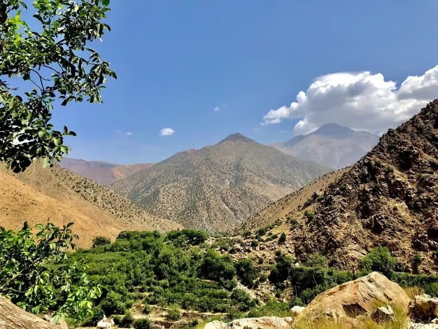 From Marrakech: Ourika Valley and Atlas Mountains Half - Day Trip