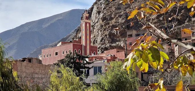 From Marrakech: Ourika Valley Day Trip with Guided Waterfall Hike and Lunch