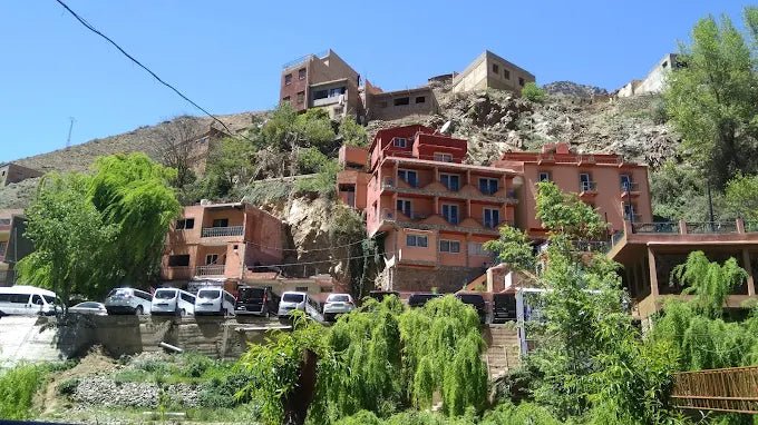From Marrakech: Ourika Valley Day Trip with Guided Waterfall Hike and Lunch