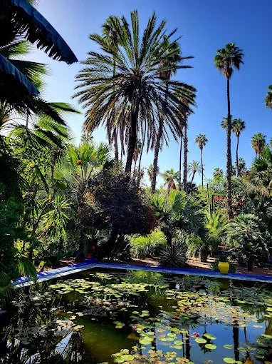 From Marrakech: Ourika Valley Day Trip with Waterfalls and Argan Cooperative Visit