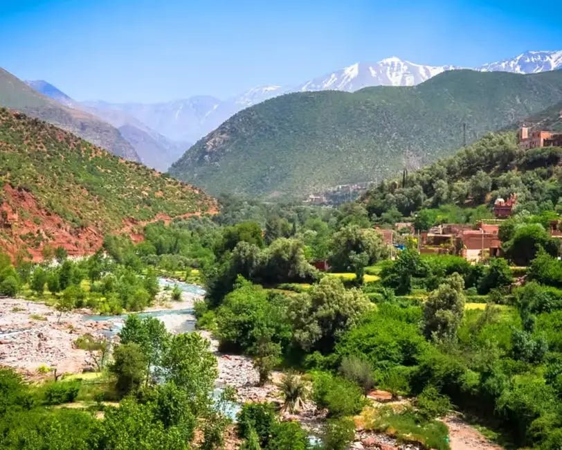 From Marrakech: Ourika Valley Day Trip with Waterfalls and Argan Cooperative Visit