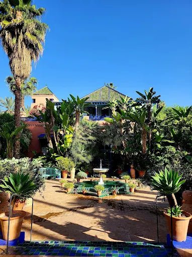 From Marrakech: Ourika Valley Day Trip with Waterfalls and Argan Cooperative Visit