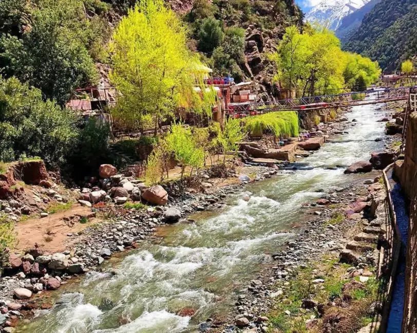 From Marrakech: Ourika Valley Day Trip with Waterfalls and Argan Cooperative Visit
