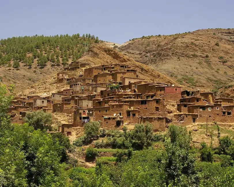 From Marrakech: Ourika Valley Day Trip with Waterfalls and Argan Cooperative Visit