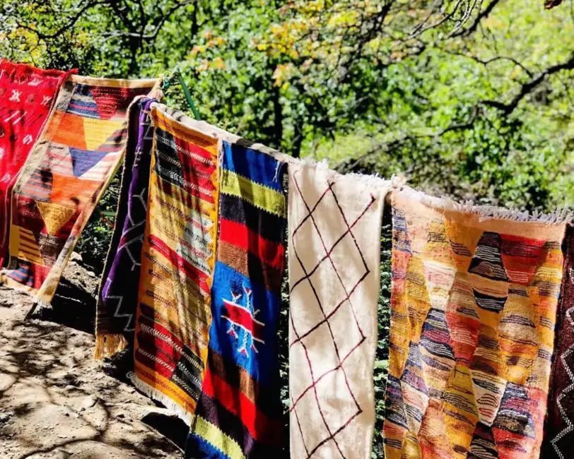 From Marrakech: Ourika Valley Day Trip with Waterfalls and Argan Cooperative Visit