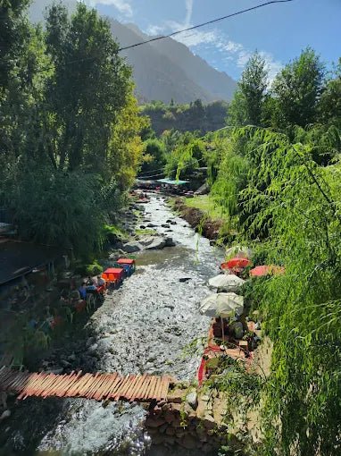 From Marrakech: Ourika Valley Day Trip with Waterfalls and Argan Cooperative Visit